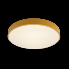 Потолочный светильник Loft It 10002/24 Yellow