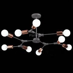 Потолочная люстра Evoluce SLE106403-09