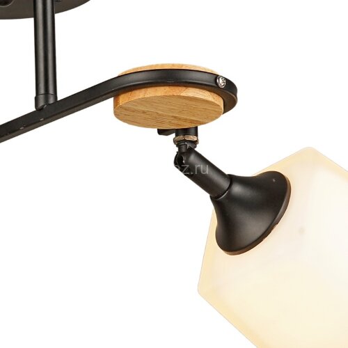 Потолочная люстра Reluce 04217-0.3-03 BK