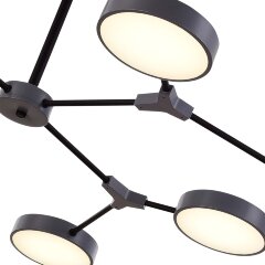 Потолочная люстра Evoluce SLE6003-702-08