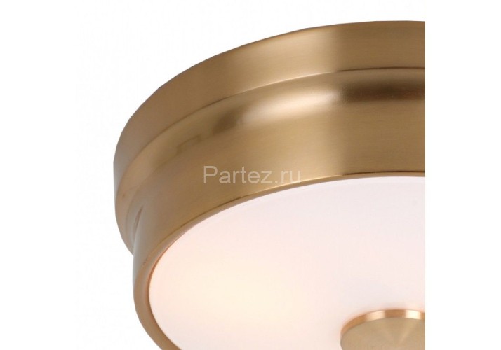 Потолочный светильник Favourite 2375-2C