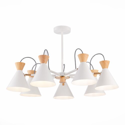 Потолочная люстра Evoluce SLE125102-07