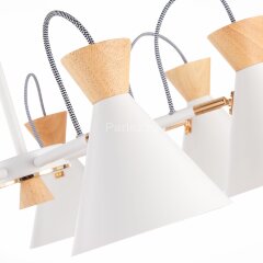 Потолочная люстра Evoluce SLE125102-07