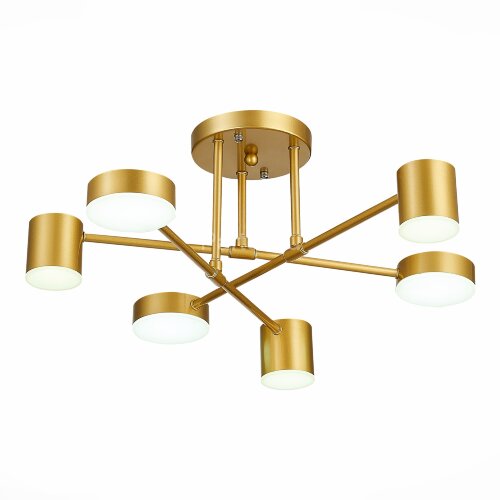 Потолочная люстра Evoluce SLE201022-06