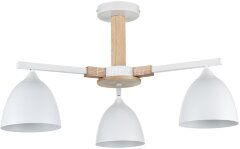 Потолочная люстра Lumion 8095/3C