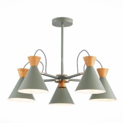 Потолочная люстра Evoluce SLE125112-05