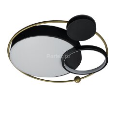 Настенно-потолочный светильник Loft It 10064