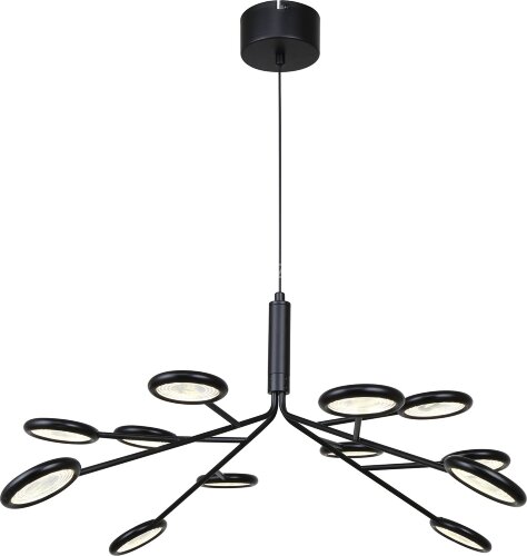 Подвесная люстра F-Promo 4252-12P