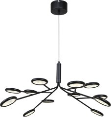 Подвесная люстра F-Promo 4252-12P