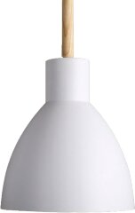 Подвесной светильник Moderli V1280-1P