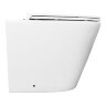 Унитаз приставной Azario 580х360х430 безободковый, быстросъемное сиденье микролифт, с системой смыва