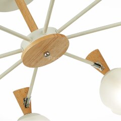 Потолочная люстра Evoluce SLE220702-08