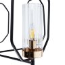 Потолочная люстра Arte Lamp A7004PL-5BK