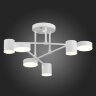 Потолочная люстра Evoluce SLE201052-06