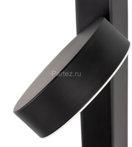 Настенный светильник Arte Lamp A2142AP-10BK