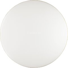 Настенно-потолочный светильник Sonex 3043/EL