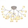Потолочная люстра Evoluce SLE250102-36