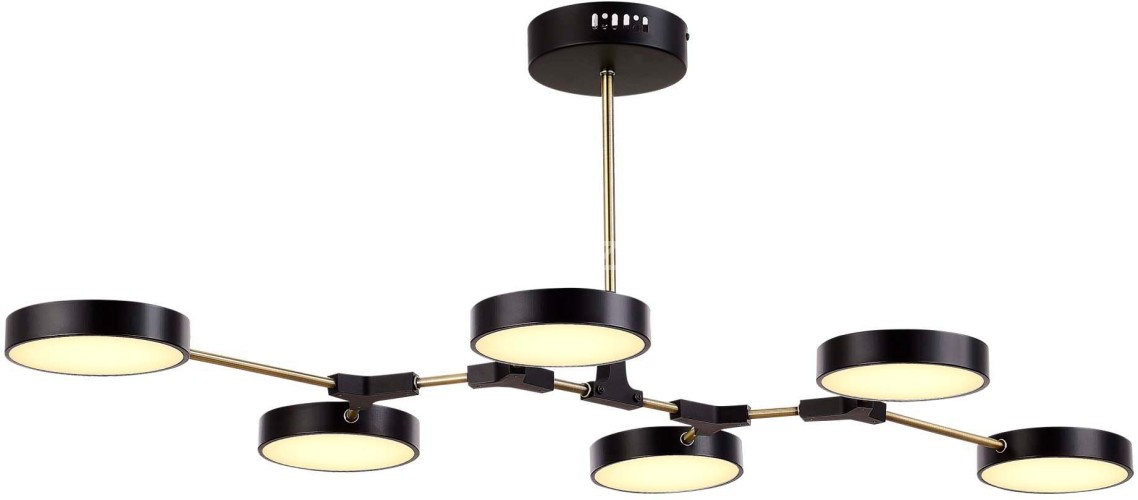 Потолочная люстра Evoluce SLE6004-402-06