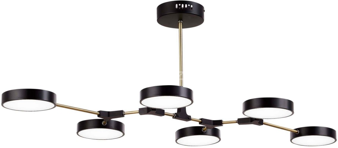 Потолочная люстра Evoluce SLE6004-402-06