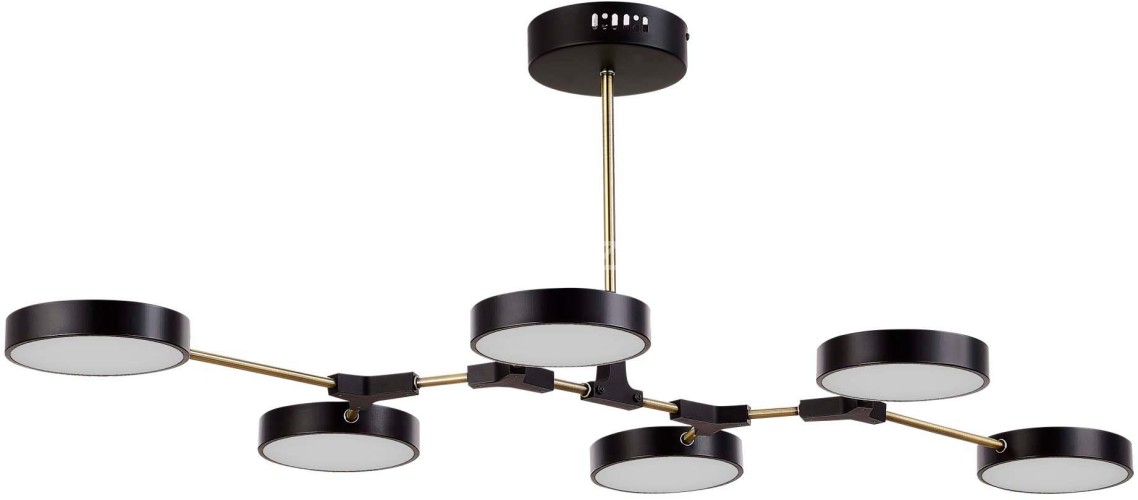 Потолочная люстра Evoluce SLE6004-402-06