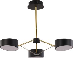 Потолочная люстра Evoluce SLE6005-402-03