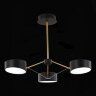 Потолочная люстра Evoluce SLE6005-402-03