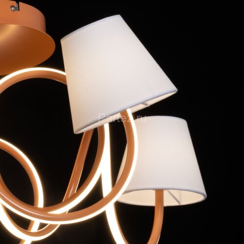 Потолочная люстра MW-Light 480012805
