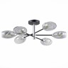 Потолочная люстра Evoluce SLE155512-06