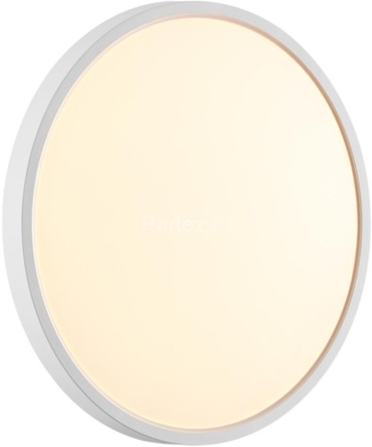 Настенно-потолочный светильник Sonex 7659/24L