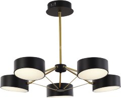 Потолочная люстра Evoluce SLE6005-402-05