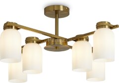 Потолочная люстра Freya FR5446PL-06BS