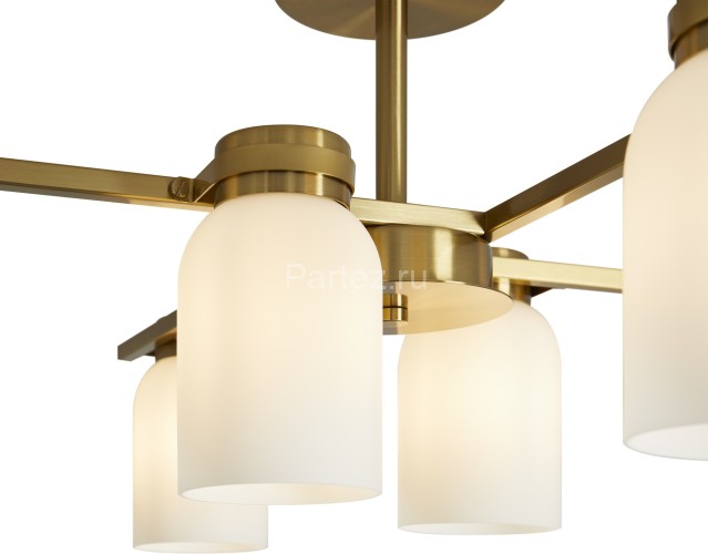 Потолочная люстра Freya FR5446PL-06BS