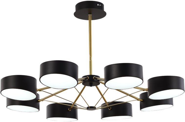 Потолочная люстра Evoluce SLE6005-402-08