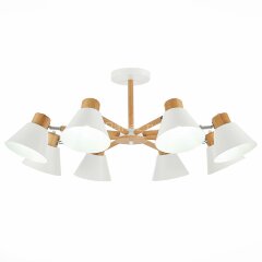 Потолочная люстра Evoluce SLE103702-08