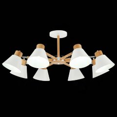 Потолочная люстра Evoluce SLE103702-08