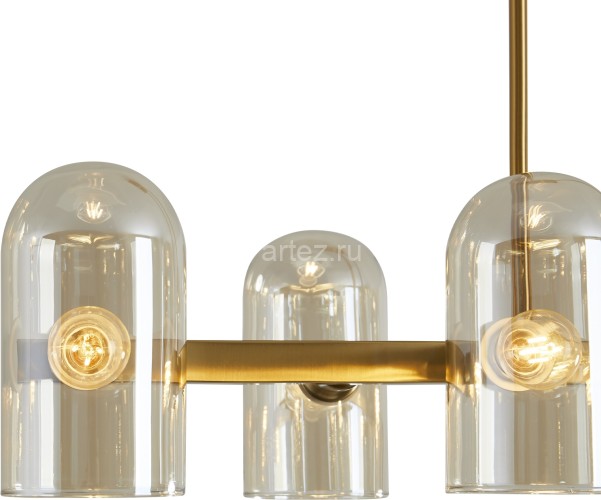 Потолочная люстра Freya FR5427PL-06BS