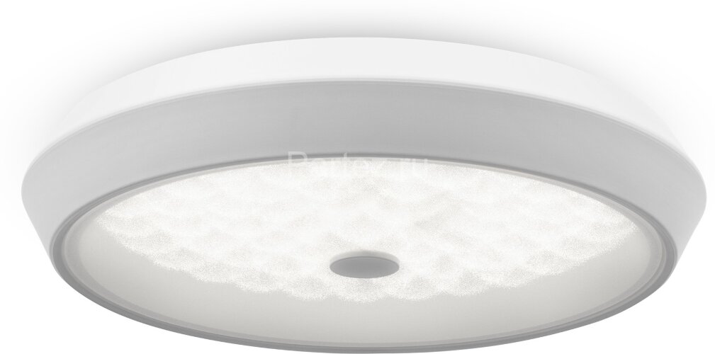 Потолочный светильник Freya FR10012CL-L24W